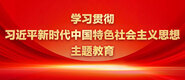 rsz操爽de翻天鸡巴大逼网站g再深一点爽骚逼学习贯彻习近平新时代中国特色社会主义思想主题教育_fororder_ad-371X160(2)